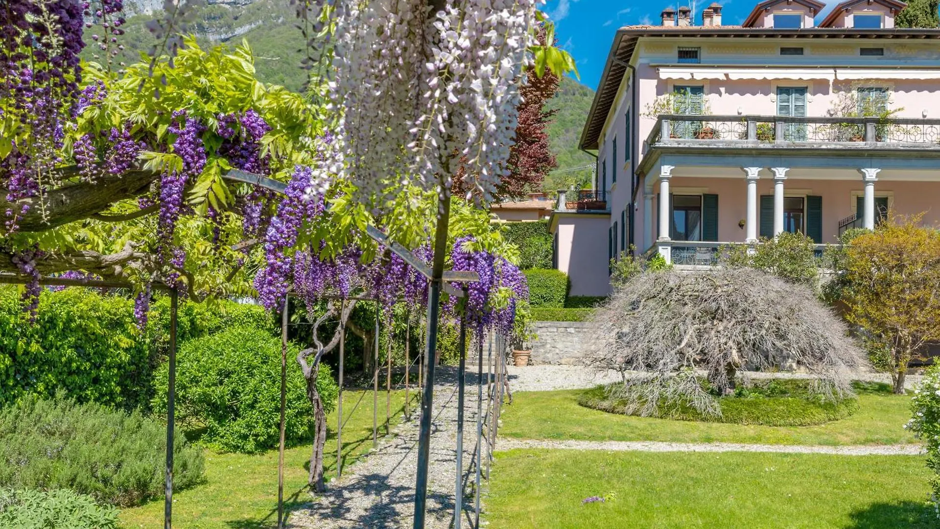 Apartment Lucia - Tremezzina Tremezzo İtalya